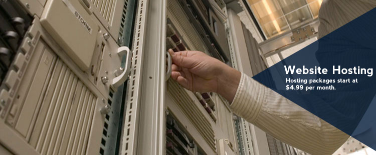 Picture of a man working in a server room