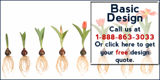Call 1-888-863-3033 for more information about our Basic Design Package.